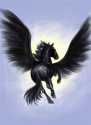 Pegasus (: 6074)