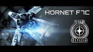 2013-10-23-introducing_the_hornet_line01.jpg