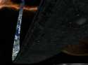 Ring World (: 5833)